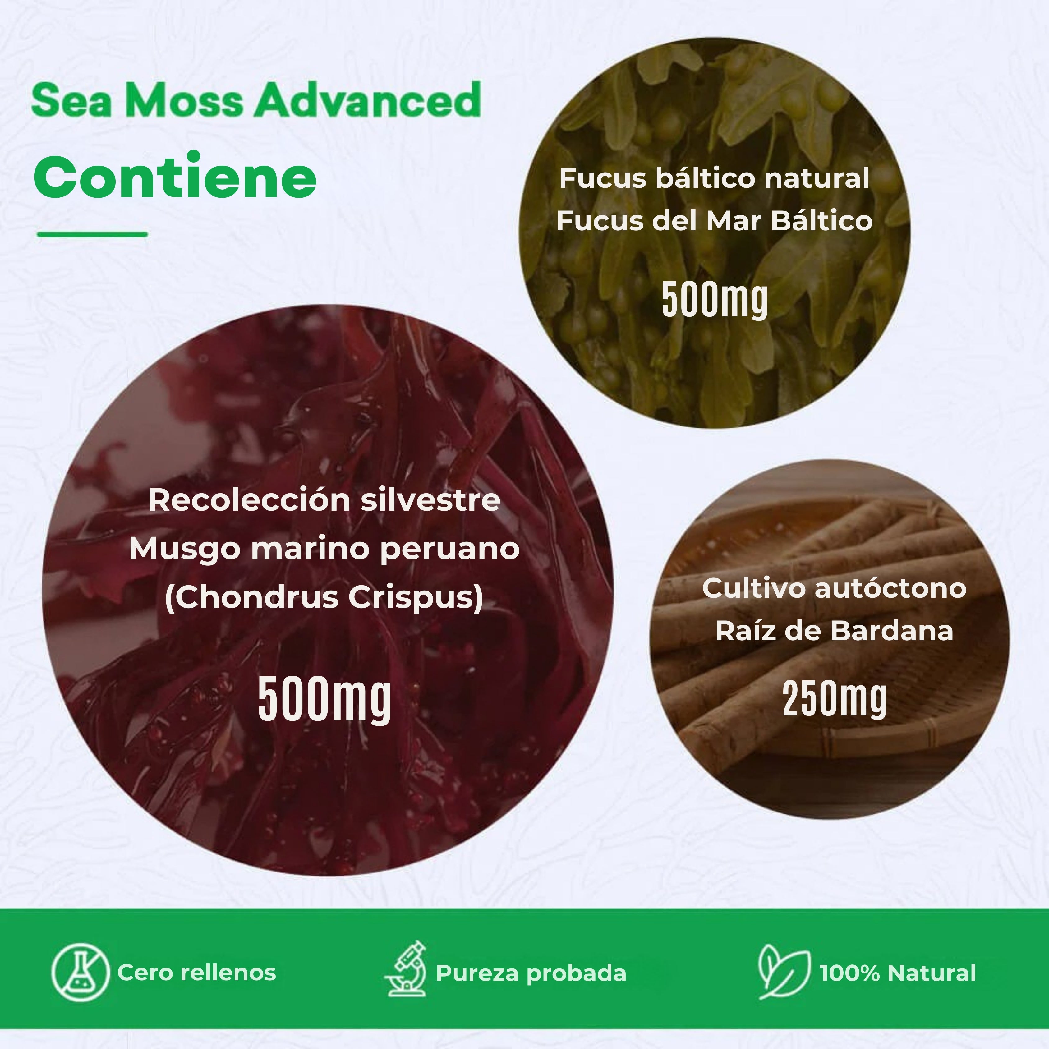 Sea Moss